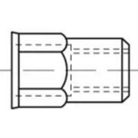 Toolcraft TO-5380608 Popmoer M10 RVS 200 stuk(s)