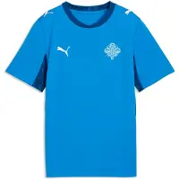 Puma Functioneel shirt royal blue/koningsblauw