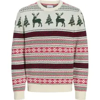 Jack & Jones Trui 'XMAS NOEL' spar / pastelgroen / bloedrood / offwhite