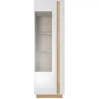 Vente-Unique.nl Vitrinekast MURARI - 1 deur - met ledverlichting - Hoogglans wit en eiken
