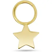 New Bling - 9NBG-O116-L - 14K goud – Oorbelhanger - per stuk – Ster Links