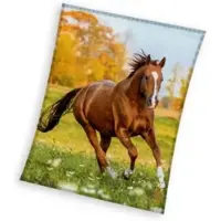 KidsDreamStore fleeceplaid Paard meerkleurig 150x200cm