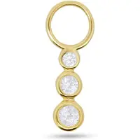 New Bling - 9NBG-O145 - 14K goud – Oorbelhanger - per stuk – 3 Cirkels – Zirkonia