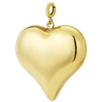 Yehwang Hanger - sieraad - stainless steel - goud - cadeau tip