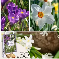 Plant in a Box Shade Garden Box - 50 bloembollen voor schaduw&halfschaduw