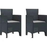 vidaXL Tuinstoel 2 pcs Antraciet 53 x 49 x 85 cm Polypropyleen