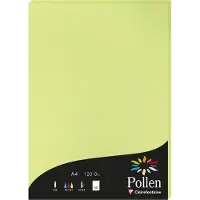 Clairefontaine Etui de 50 feuilles A4 Pollen Vert Bourgeon