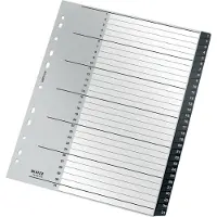 Leitz Recycle indexmap, A4, beschrijfbaar, universele perforatie, 100% recyclebaar, kunststof, zwart, tabbladen 1-31