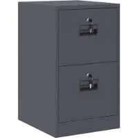 vidaXL Bestandkast Antraciet 44 x 50 x 74,5 cm Koudgewalst Staal