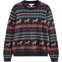 Next Trui navy / lichtbruin / groen / rood