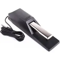 Korg DS1H pedaal