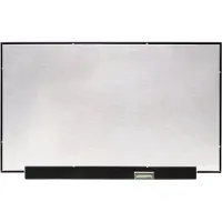 HP LCD scherm geschikt voor Omen 16-b1001nd (QHD 165Hz)