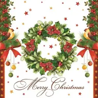 Daisy 40 Kerstmis Kerst Servetten - Kerstkrans - Kerstballen - Sterren - Strik - Vogel - Merry Christmas - Wit - Rood - Groen - 33 x 33 cm - 3-Laags -
