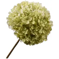 Silk-ka Hortensia tak groen/roze 79 cm