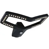 Paulmann Alara 94795 LED-buitenlamp met bewegingsmelder (wand) LED LED vast ingebouwd 10 W Antraciet