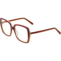 Frank and Lucie Leesbril Eyedentity -FL24711-Double-Desire-+2.00