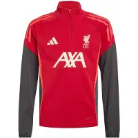 Adidas Functioneel shirt 'Liverpool FC Tiro 25 Competition' antraciet / bloedrood / offwhite