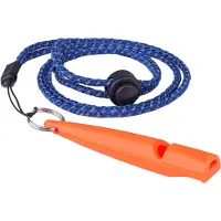 Company of animals Coachi Training Whistle