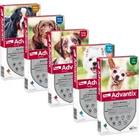 Advantix Spot On 250 2.5 ml - Anti vlooien en tekenmiddel