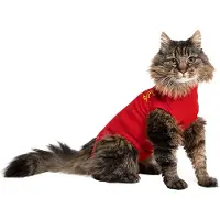 Medical Pet Shirt kat