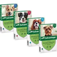 Advantage Dog 100 | 4 x 1,0 ml
