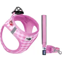 Curli Vest Harness Air-Mesh & Leash Puppy Set