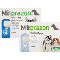 Milprazon Ontwormingsmiddel hond (5-75 kg) 4 tabletten