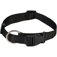 Beeztees Halsband Hond met Kliksluiting