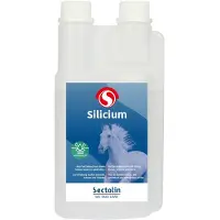 Sectolin Silicium