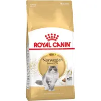 Royal Canin Fbn Norwegian Forest Cat Adult - Kattenvoer - 10 kg