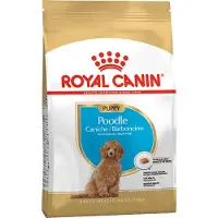 Royal Canin Poodle Puppy - Hondenvoer