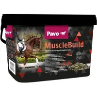 Pavo MuscleBuild