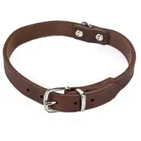 Beeztees Halsband Hond Leer