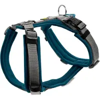 Hunter Harness Maldon