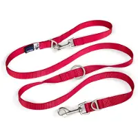 Curli Adjustable Leash Nylon
