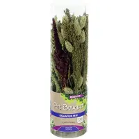 Esve Pet Bouquet Koker Equator