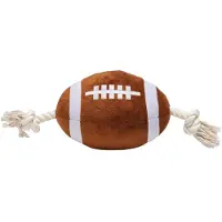 Beeztees Rugbybal met Touw