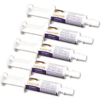 Vetripharma Vitalyt Pasta - 5 x 60g