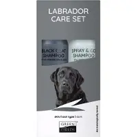 Greenfields Vacht Verzorgingsset voor Labrador - Black Coat Shampoo en Spray&Go Droogshampoo 250ML