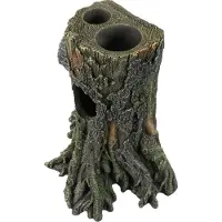 Terra Della Gecko Boom