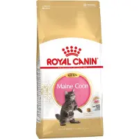 Royal Canin Droogvoer kat maine coon kitten 4 kg Royal Canin online kopen