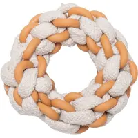 Beeztees Kauwspeelgoed Hond Dental Mik D 14 H 3,2 Cm