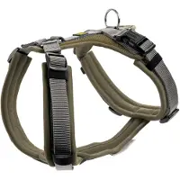 Hunter Harness Maldon