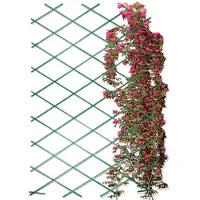 Gardalux Klimrek planten | | 200 x 100 cm (Kunststof, Groen)