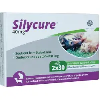 Fendigo Silycure