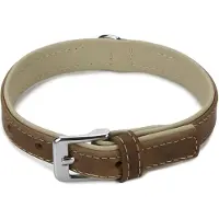 Beeztees BZ LEREN KRAAG COMFORT BRUIN 3 (35, Hond, Hondensport)