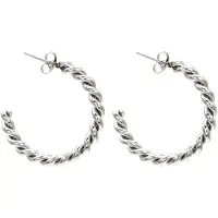 Dielay Oorbellen Gedraaid - Oorringen - RVS - 2,5 cm - Zilverkleurig