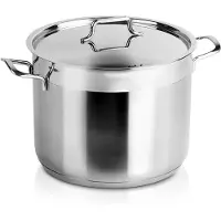 Orion Anett Serie - Roestvrijstalen Pan - 26 cm - 10 l - Inclusief Deksel