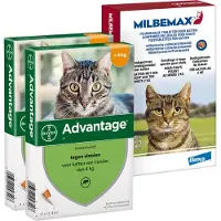 Elanco Deutschland GmbH Preventiepakket Binnenkat 2 - 4 kg