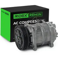 RIDEX 447K0381R Aircopomp